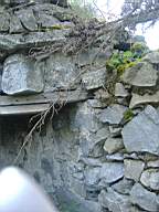 bellanamullia - 1110.JPG